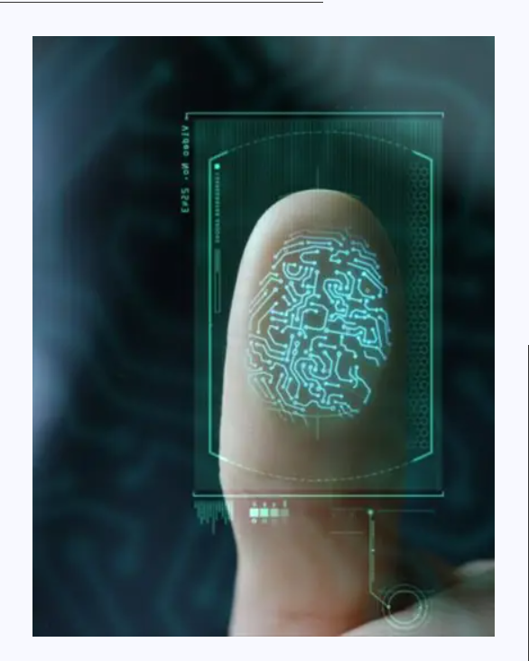 Voice Verification Systems and